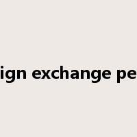 foreign exchange permit是什么意思