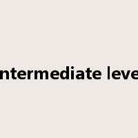 intermediate level是什么意思
