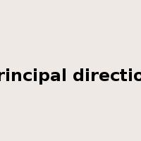 principal direction是什么意思
