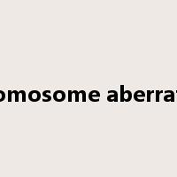 chromosome aberration是什么意思