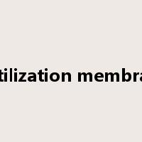 fertilization membrane是什么意思