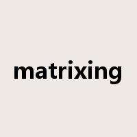 matrixing是什么意思