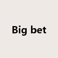 Big bet是什么意思
