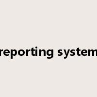 reporting system是什么意思