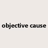 objective cause是什么意思