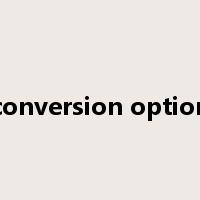 conversion option是什么意思