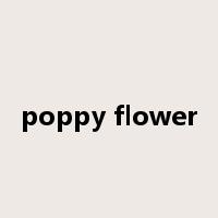 poppy flower是什么意思