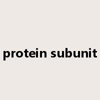 protein subunit是什么意思
