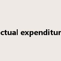 actual expenditure是什么意思