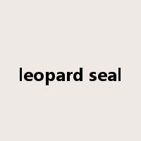 leopard seal是什么意思
