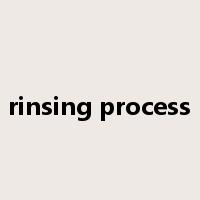 rinsing process是什么意思