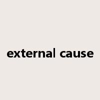 external cause是什么意思