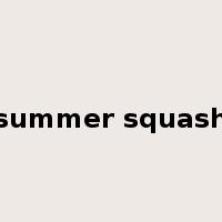 summer squash是什么意思