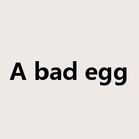 A bad egg是什么意思