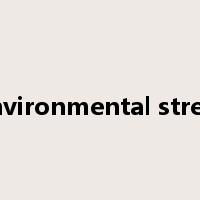 environmental stress是什么意思