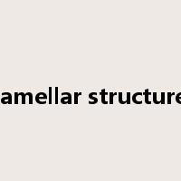 lamellar structure是什么意思