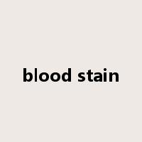 blood stain是什么意思