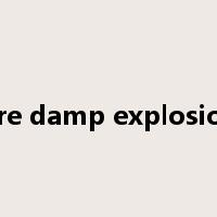 fire damp explosion是什么意思