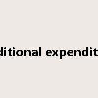 additional expenditure是什么意思