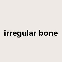 irregular bone是什么意思