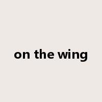 on the wing是什么意思