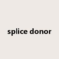 splice donor是什么意思
