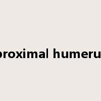 proximal humerus是什么意思
