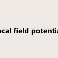 local field potential是什么意思