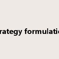 Strategy formulation是什么意思