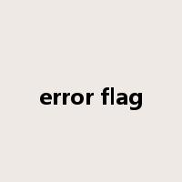 error flag是什么意思