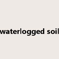 waterlogged soil是什么意思