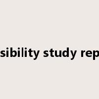 feasibility study report是什么意思