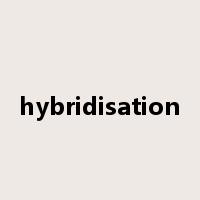 hybridisation是什么意思