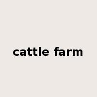 cattle farm是什么意思