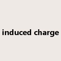 induced charge是什么意思