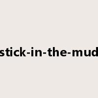 stick-in-the-mud是什么意思