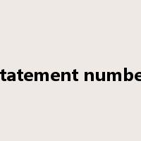statement number是什么意思