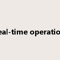 real-time operation是什么意思