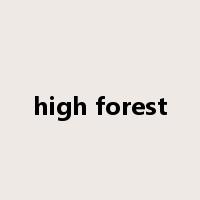 high forest是什么意思