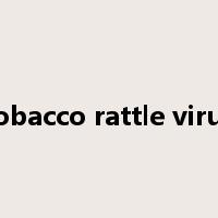 tobacco rattle virus是什么意思
