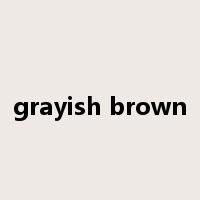 grayish brown是什么意思