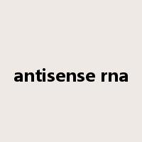 antisense rna是什么意思