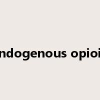 endogenous opioid是什么意思