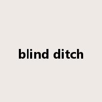 blind ditch是什么意思