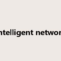 intelligent network是什么意思