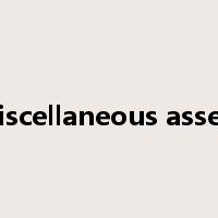 miscellaneous assets是什么意思