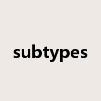 subtypes是什么意思