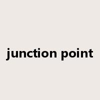 junction point是什么意思