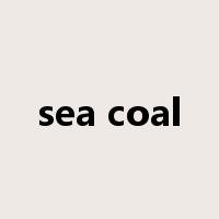 sea coal是什么意思