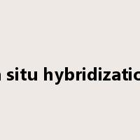 in situ hybridization是什么意思
